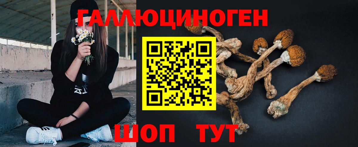 купить   Вход с VPN  Тверь  Псилоцибиновые грибы Magic Shrooms 